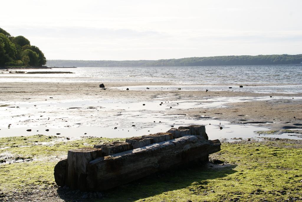 Unterkunfte Des Seesterns Flensburg Pokoj fotografie